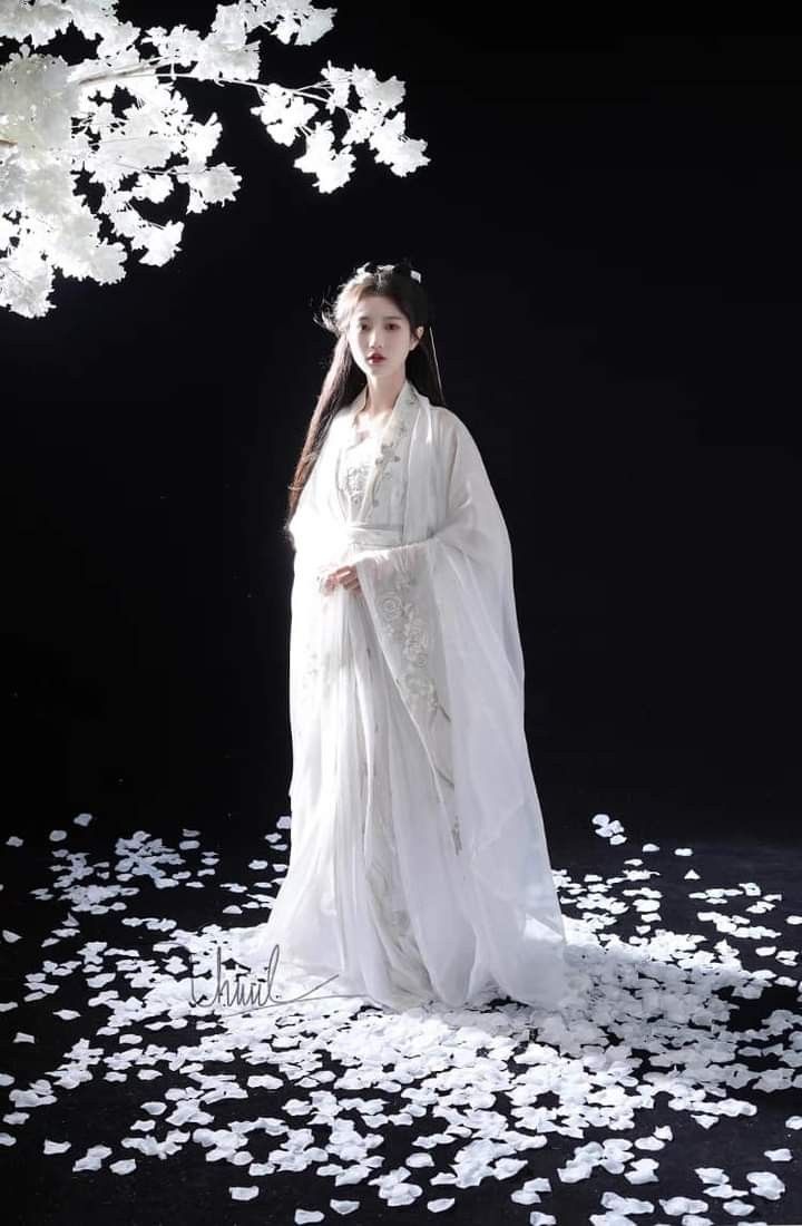 The Splendor of a Tang Princess in Hanfu:Spring and Autumn Splashes The Splendor of a Tang Princess in Hanfu:Spring and Autumn Splashes