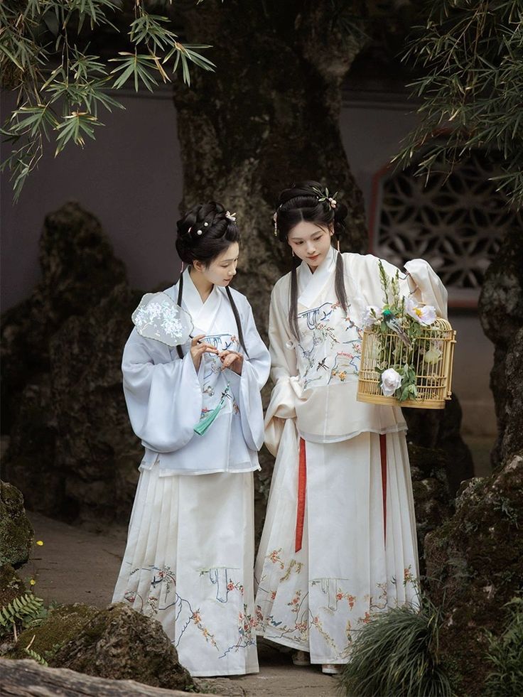 The Enigma of Qing Dynasty Costume Women:A Journey Through Time The Enigma of Qing Dynasty Costume Women:A Journey Through Time