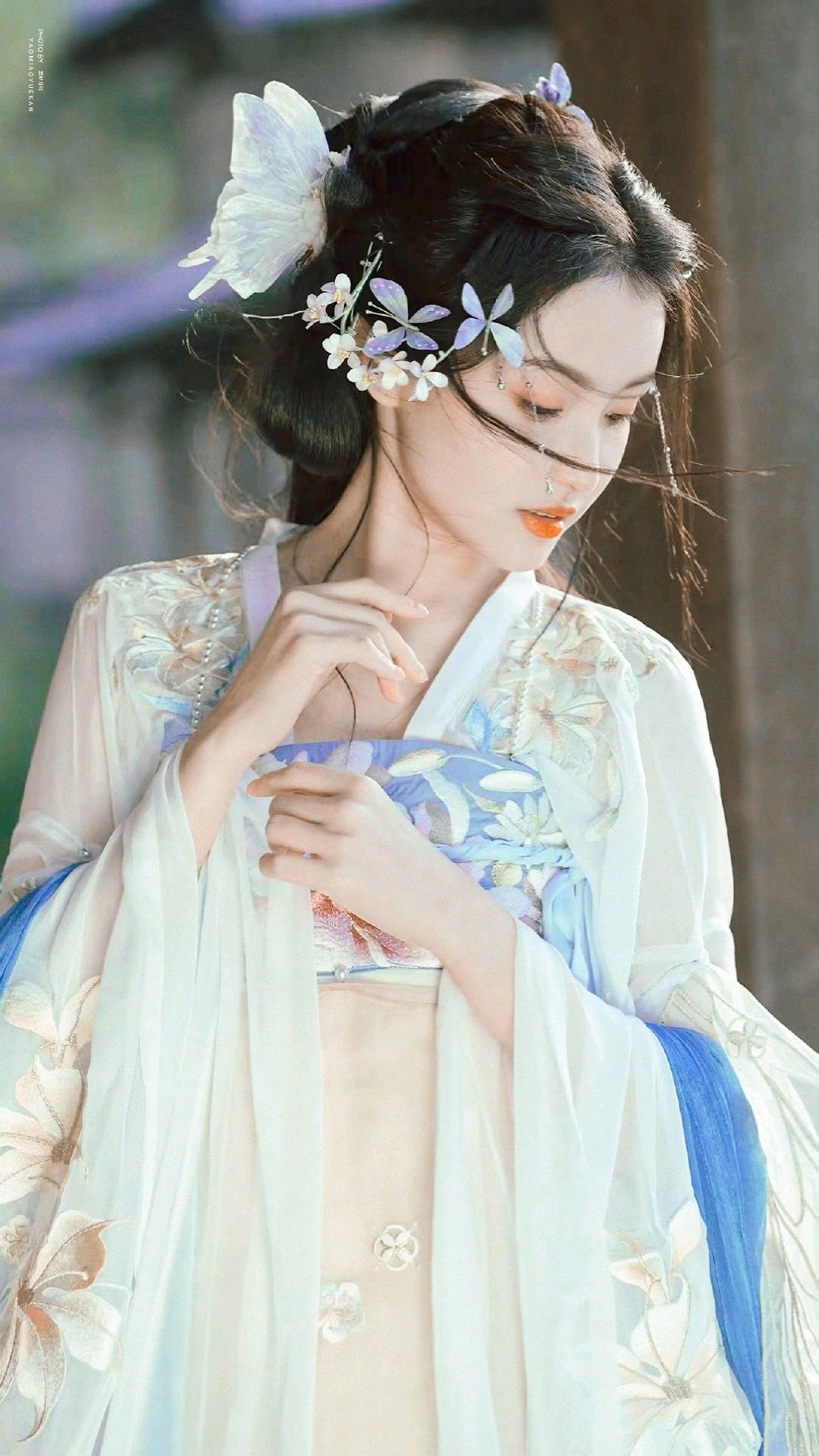 My Mothers Cheongsam:A Tale of Traditional Elegance My Mothers Cheongsam:A Tale of Traditional Elegance