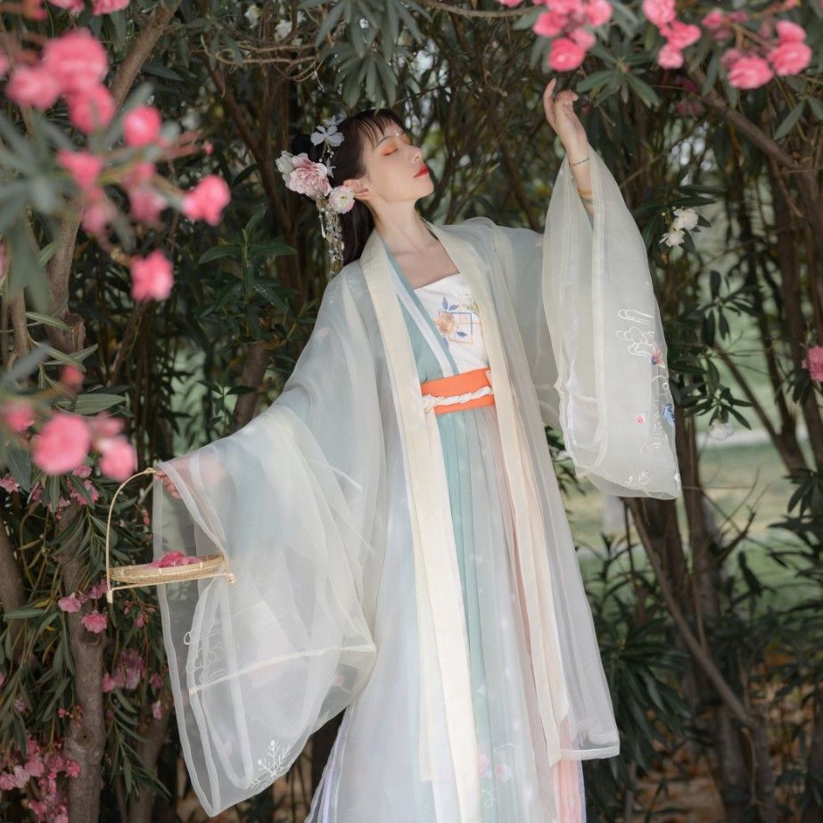 Winter Warmth:Traditional Tang Costumes for Little Girls New Year Celebrations Winter Warmth:Traditional Tang Costumes for Little Girls New Year Celebrations