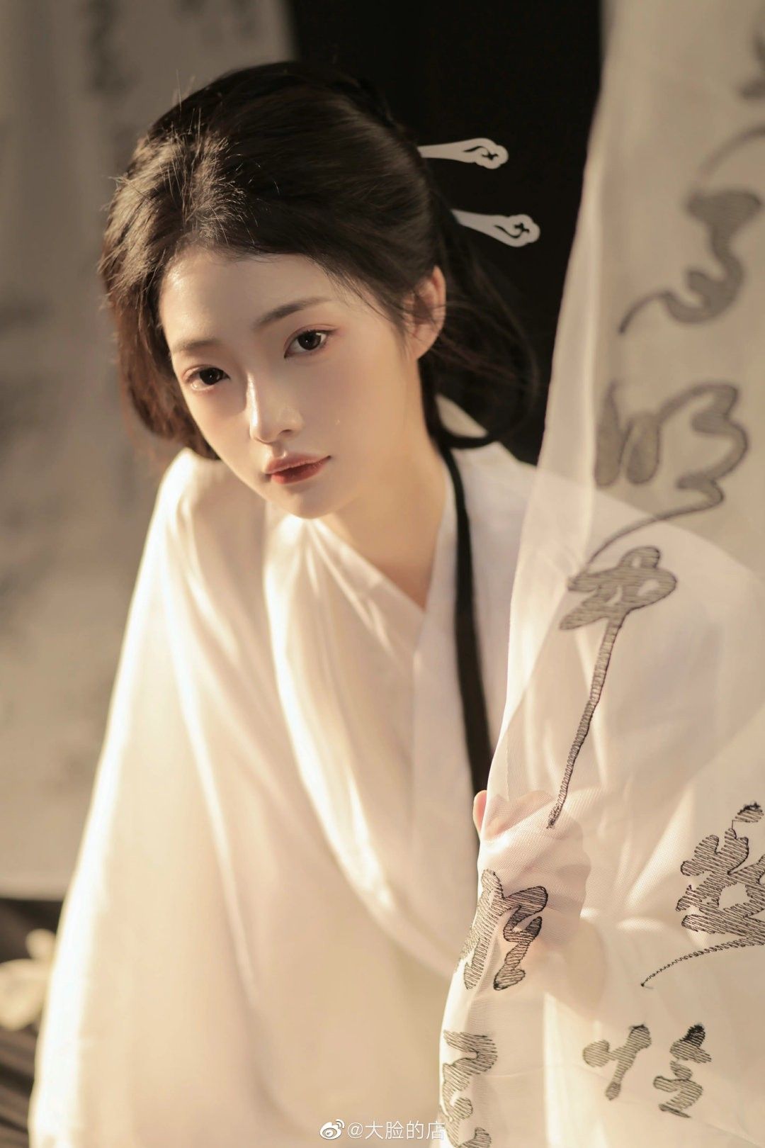The Scholars Robes:Cloud-肩马面 Skirt in Traditional Chinese Elegance The Scholars Robes:Cloud-肩马面 Skirt in Traditional Chinese Elegance