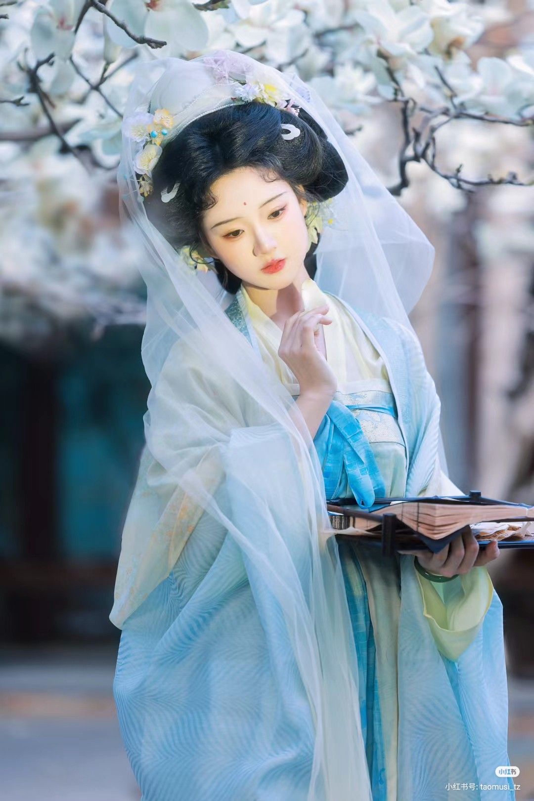 The Splendor of Princess Pingyang in Traditional Hanfu Fashion The Splendor of Princess Pingyang in Traditional Hanfu Fashion
