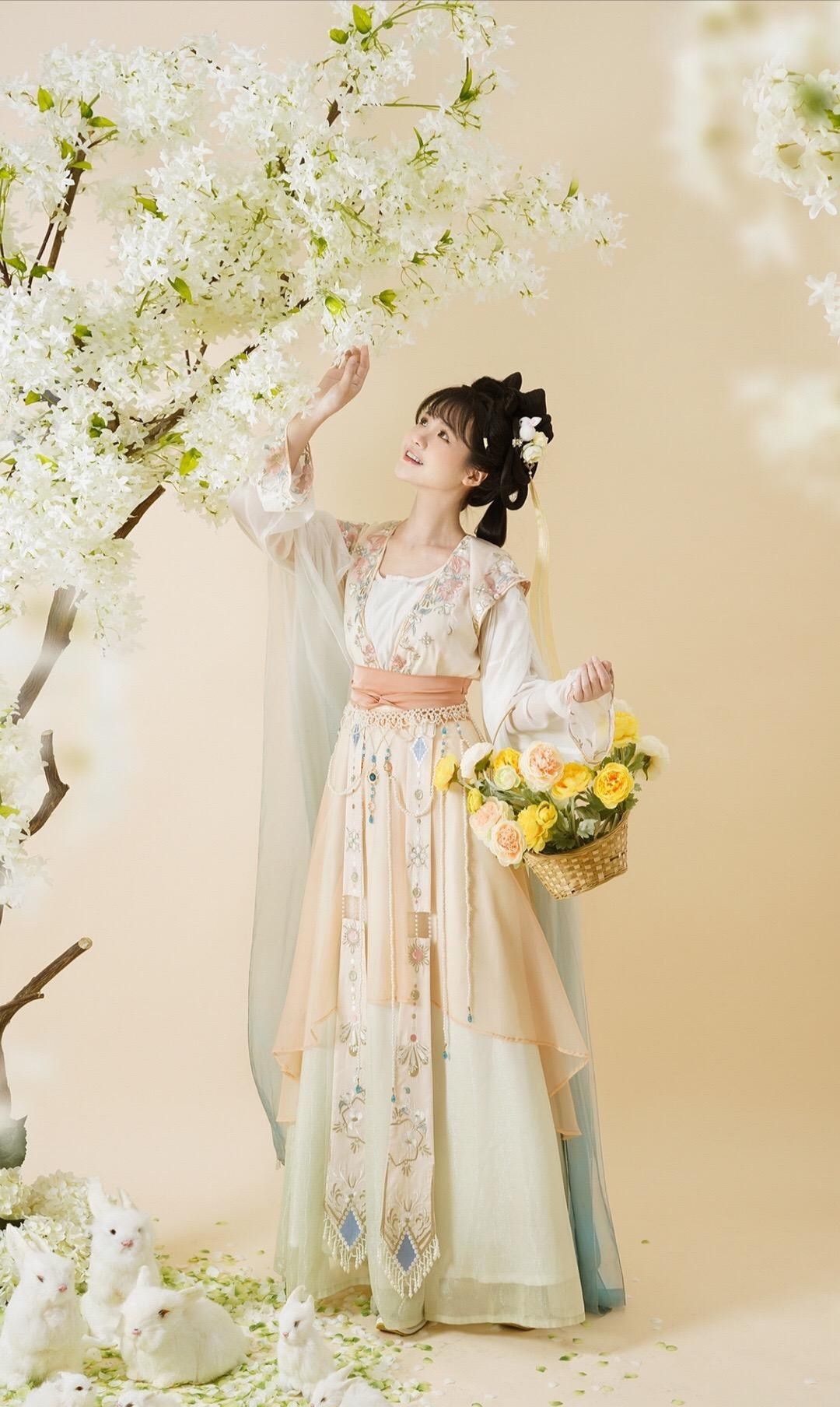 Pet Fashion:The Rise of Hanfu Pet Clothing in Western Culture Pet Fashion:The Rise of Hanfu Pet Clothing in Western Culture