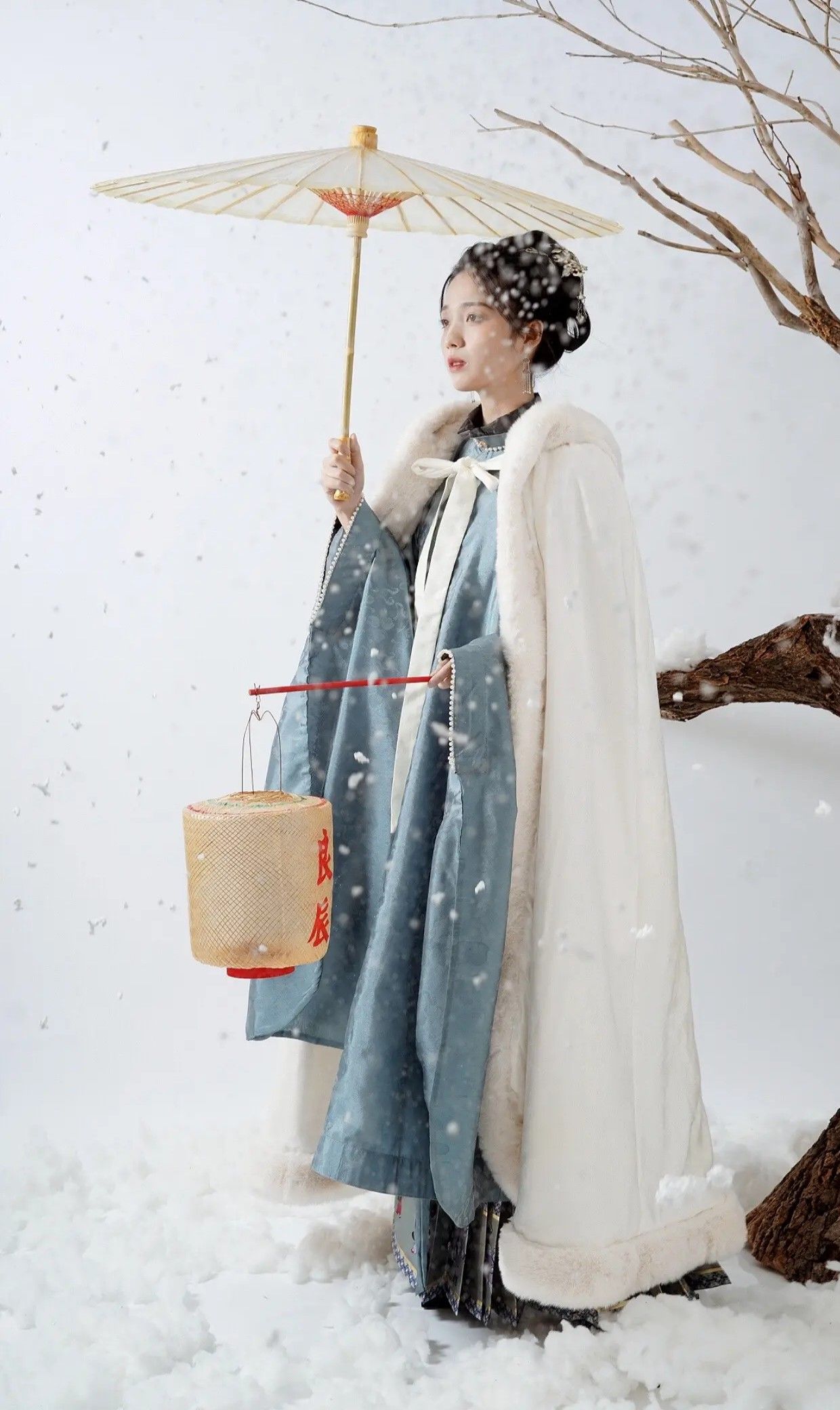 The Elegance of a Black Qipao with a Shawl The Elegance of a Black Qipao with a Shawl