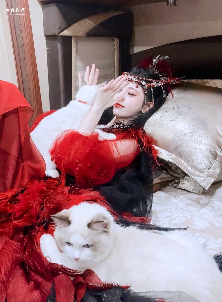 The Rise of Hanfu JK:The Journey of a Plus-Size Enthusiast The Rise of Hanfu JK:The Journey of a Plus-Size Enthusiast