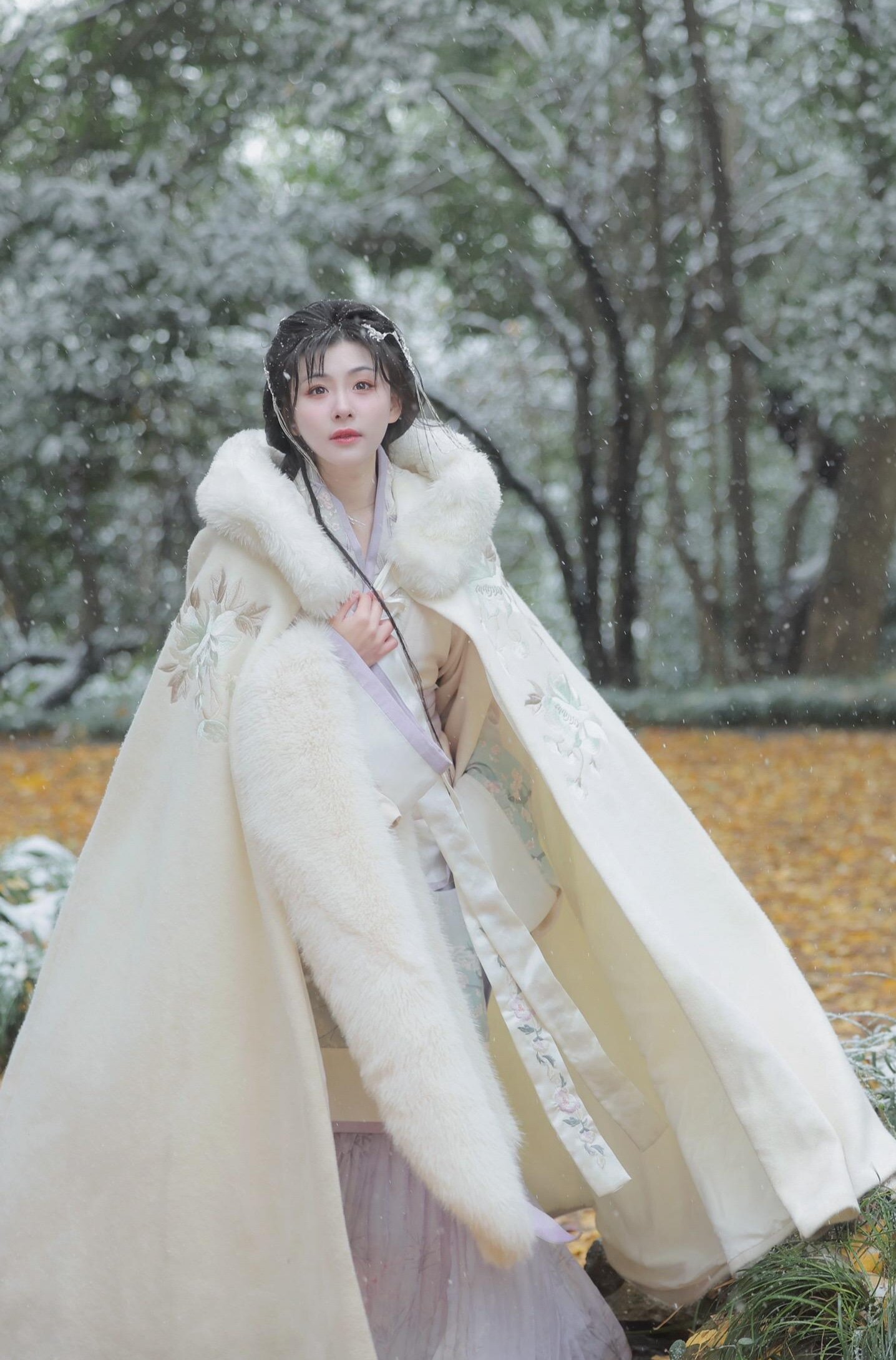 Winter Ensemble for Traditional Chinese Hanfu Costume:A Glimpse into a Timeless Elegance Winter Ensemble for Traditional Chinese Hanfu Costume:A Glimpse into a Timeless Elegance