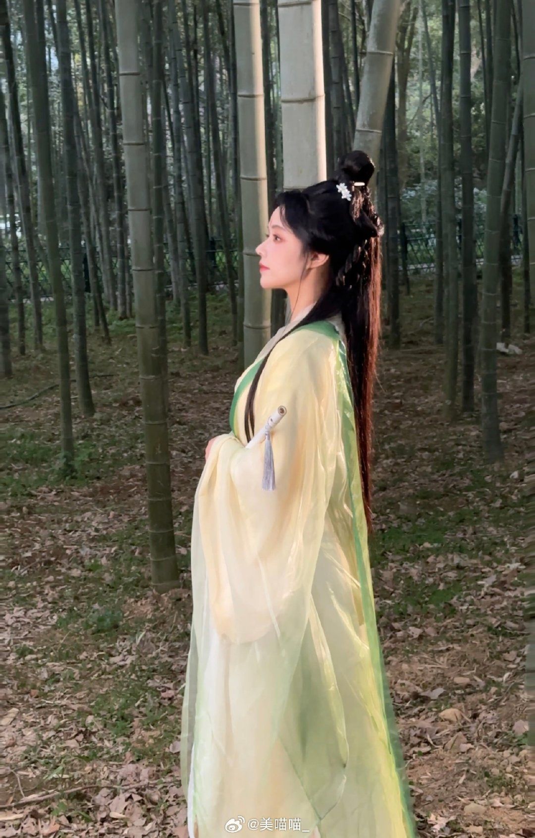 Chinese-Style Jazz Qipao:Embracing Traditional Elegance in Modern Jazz Fashion Chinese-Style Jazz Qipao:Embracing Traditional Elegance in Modern Jazz Fashion
