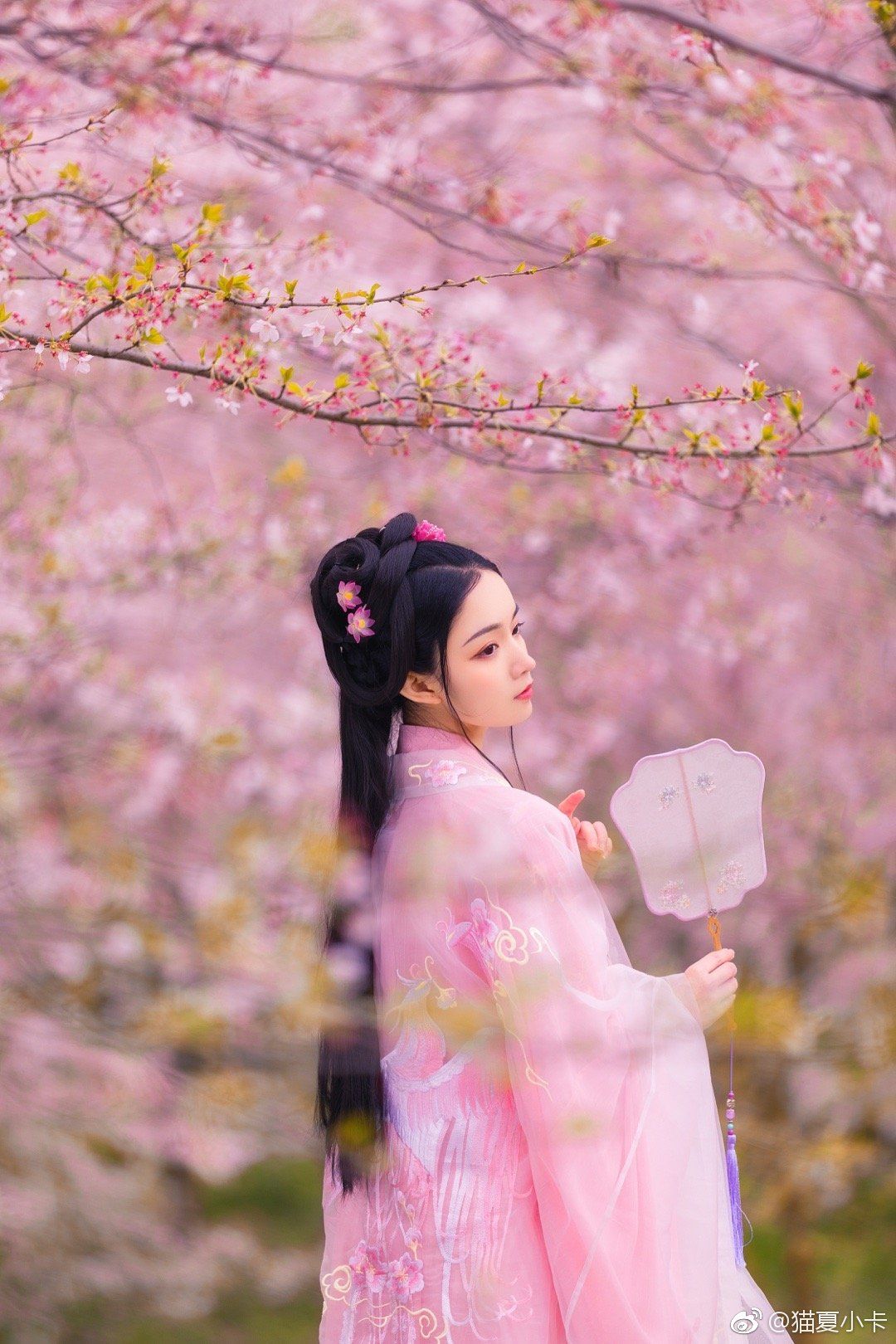Traditional Chinese Style:The Elegance of Ma-Face Skirt Ensemble Traditional Chinese Style:The Elegance of Ma-Face Skirt Ensemble