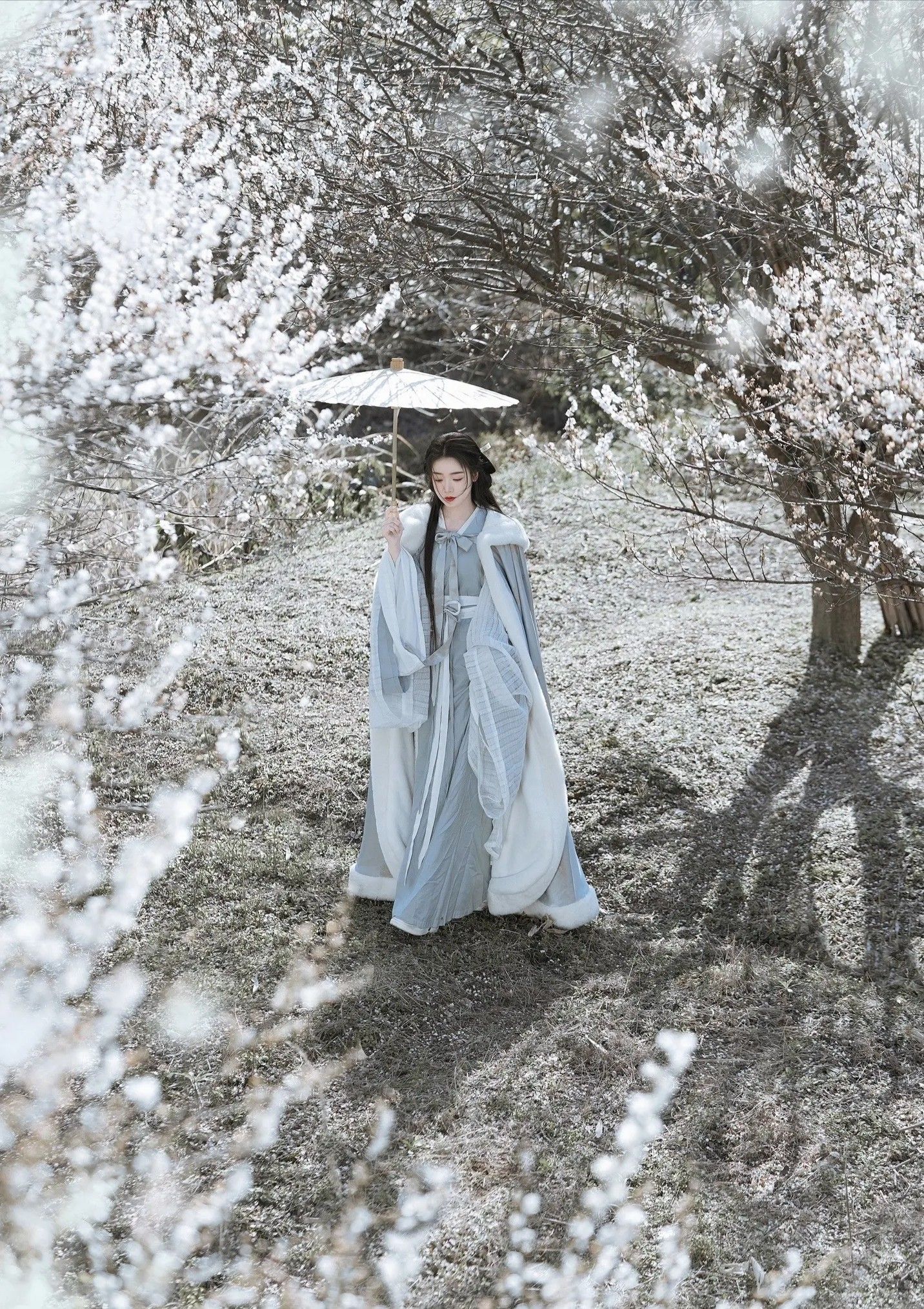 The Rise of Dong Gong Xiao Fengs Hanfu Fashion:A Journey into the World of Xiaofengs Elegance The Rise of Dong Gong Xiao Fengs Hanfu Fashion:A Journey into the World of Xiaofengs Elegance