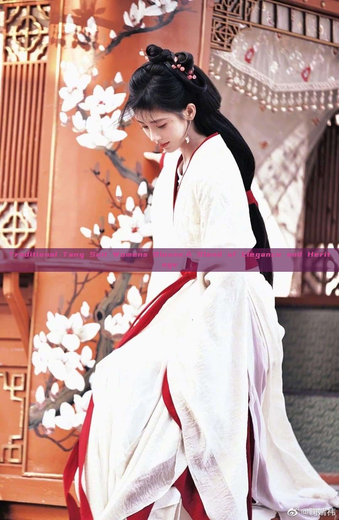 Traditional Tang Suit Womens Blouse:A Blend of Elegance and Heritage Traditional Tang Suit Womens Blouse:A Blend of Elegance and Heritage