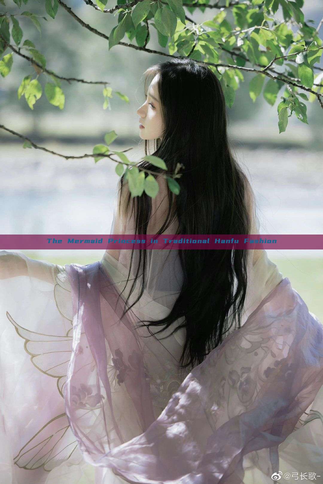 The Mermaid Princess in Traditional Hanfu Fashion The Mermaid Princess in Traditional Hanfu Fashion