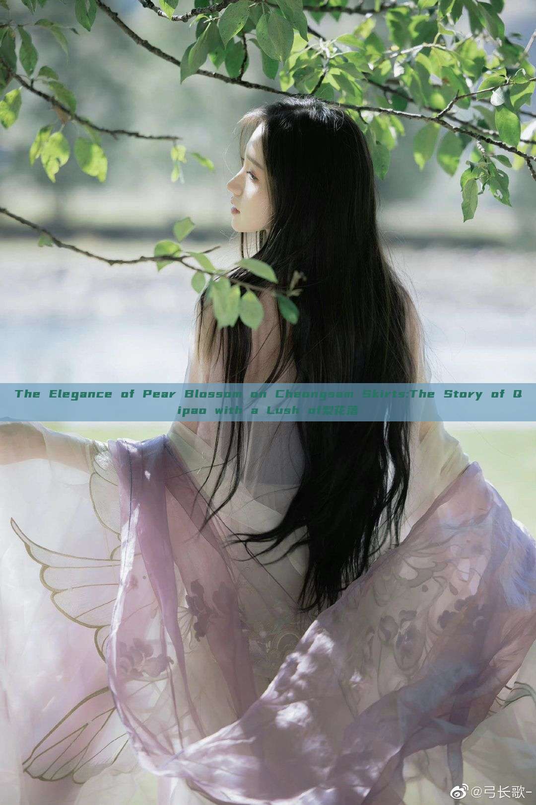 The Elegance of Pear Blossom on Cheongsam Skirts:The Story of Qipao with a Lush of梨花落 The Elegance of Pear Blossom on Cheongsam Skirts:The Story of Qipao with a Lush of梨花落
