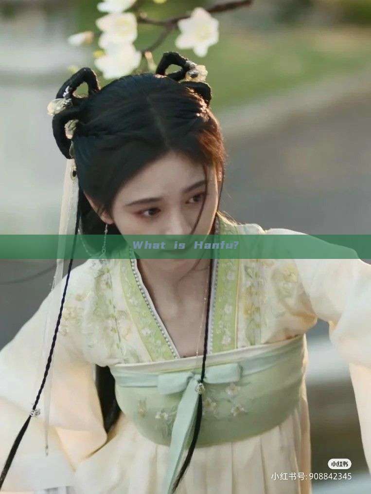 What is Hanfu? What is Hanfu?