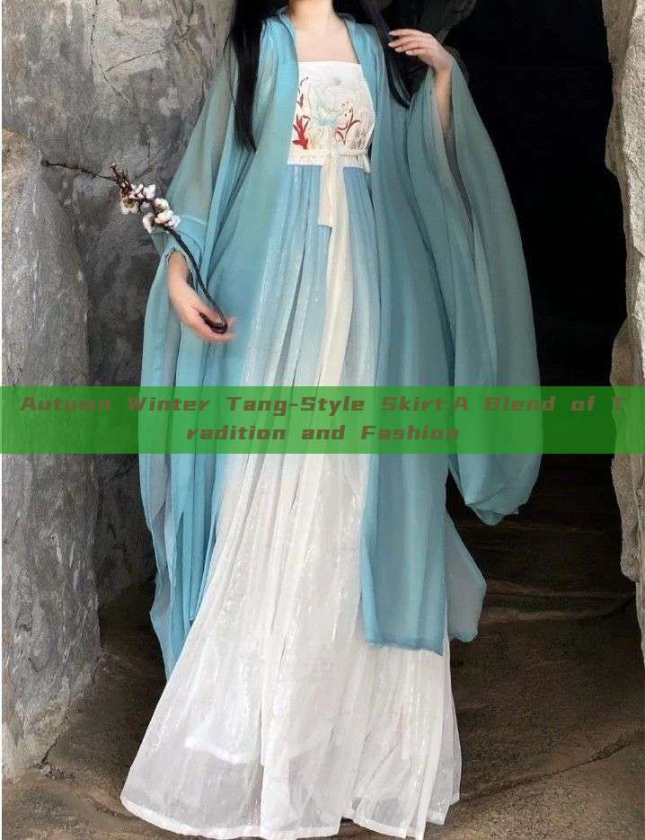 Autumn Winter Tang-Style Skirt:A Blend of Tradition and Fashion Autumn Winter Tang-Style Skirt:A Blend of Tradition and Fashion