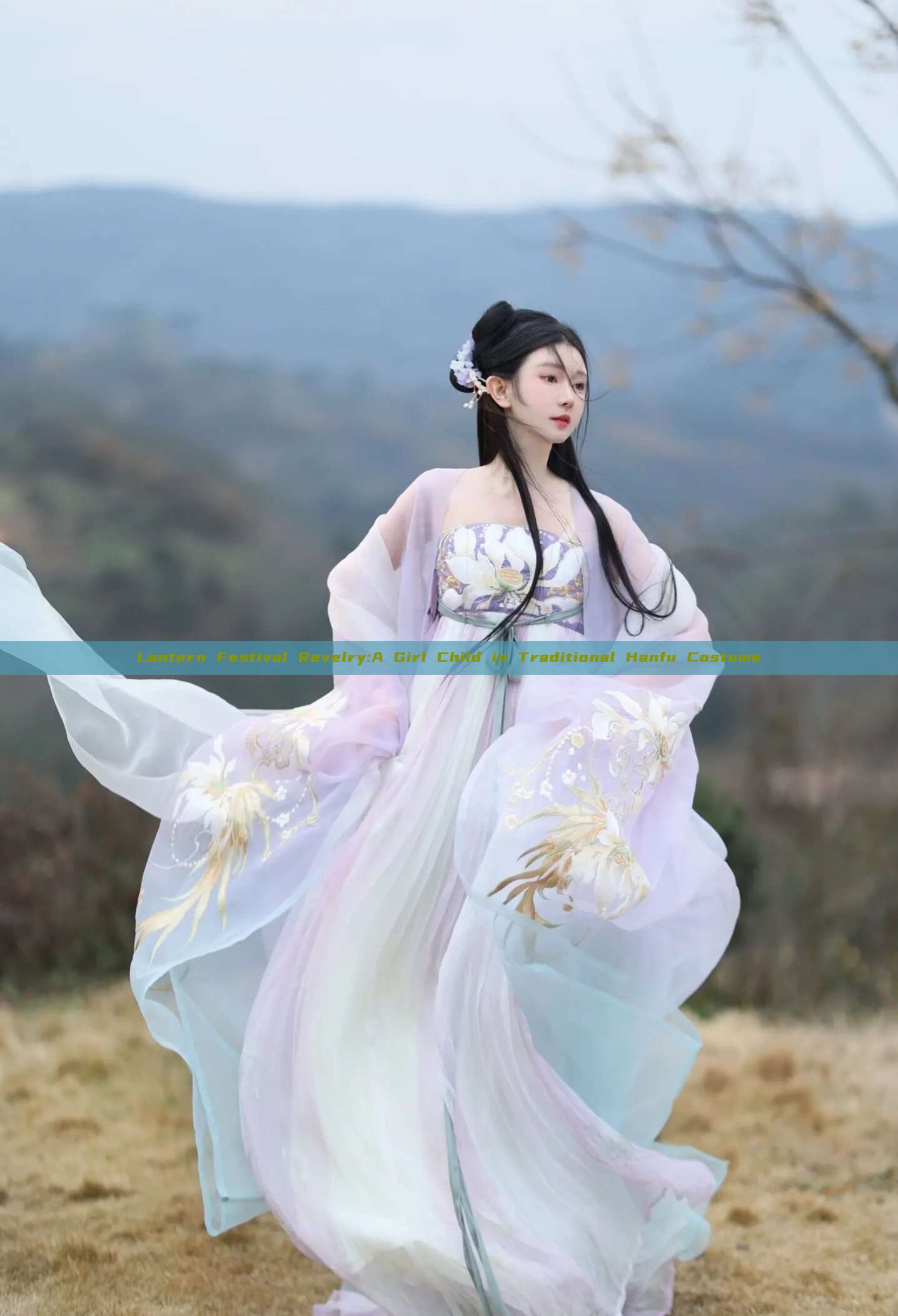 Lantern Festival Revelry:A Girl Child in Traditional Hanfu Costume Lantern Festival Revelry:A Girl Child in Traditional Hanfu Costume