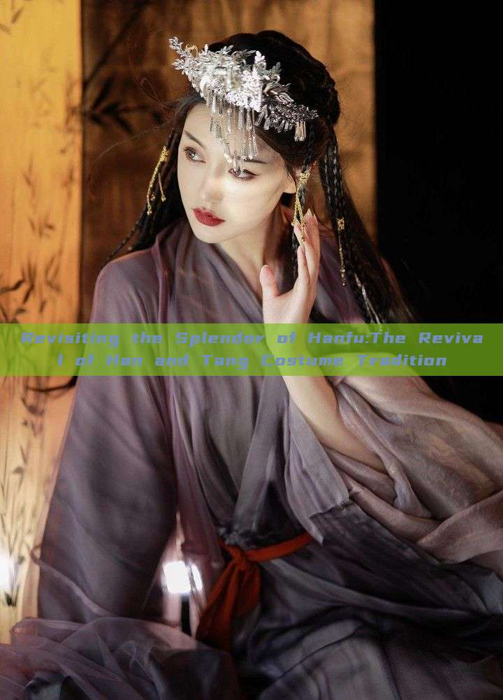 Revisiting the Splendor of Hanfu:The Revival of Han and Tang Costume Tradition