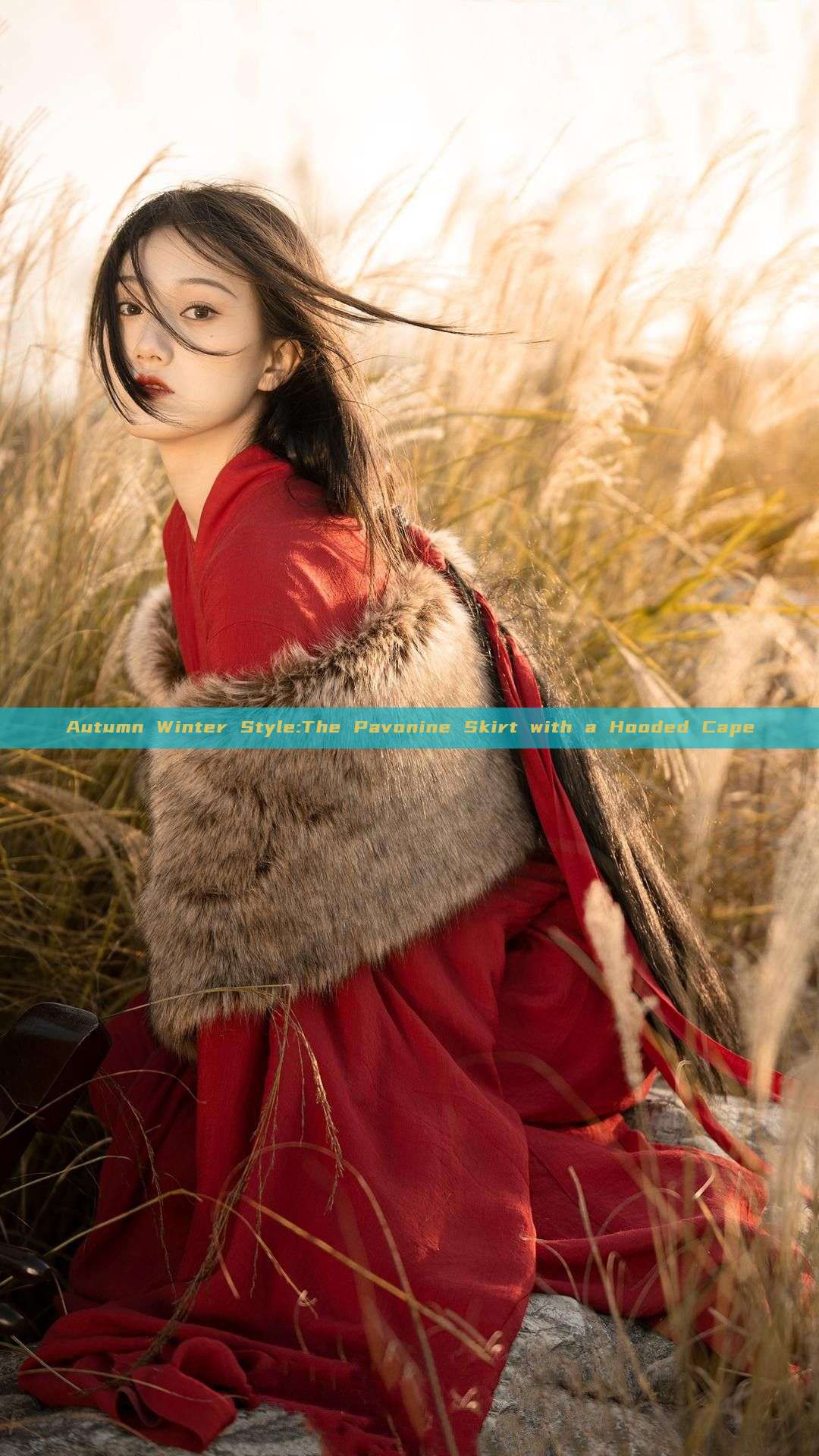 Autumn Winter Style:The Pavonine Skirt with a Hooded Cape Autumn Winter Style:The Pavonine Skirt with a Hooded Cape