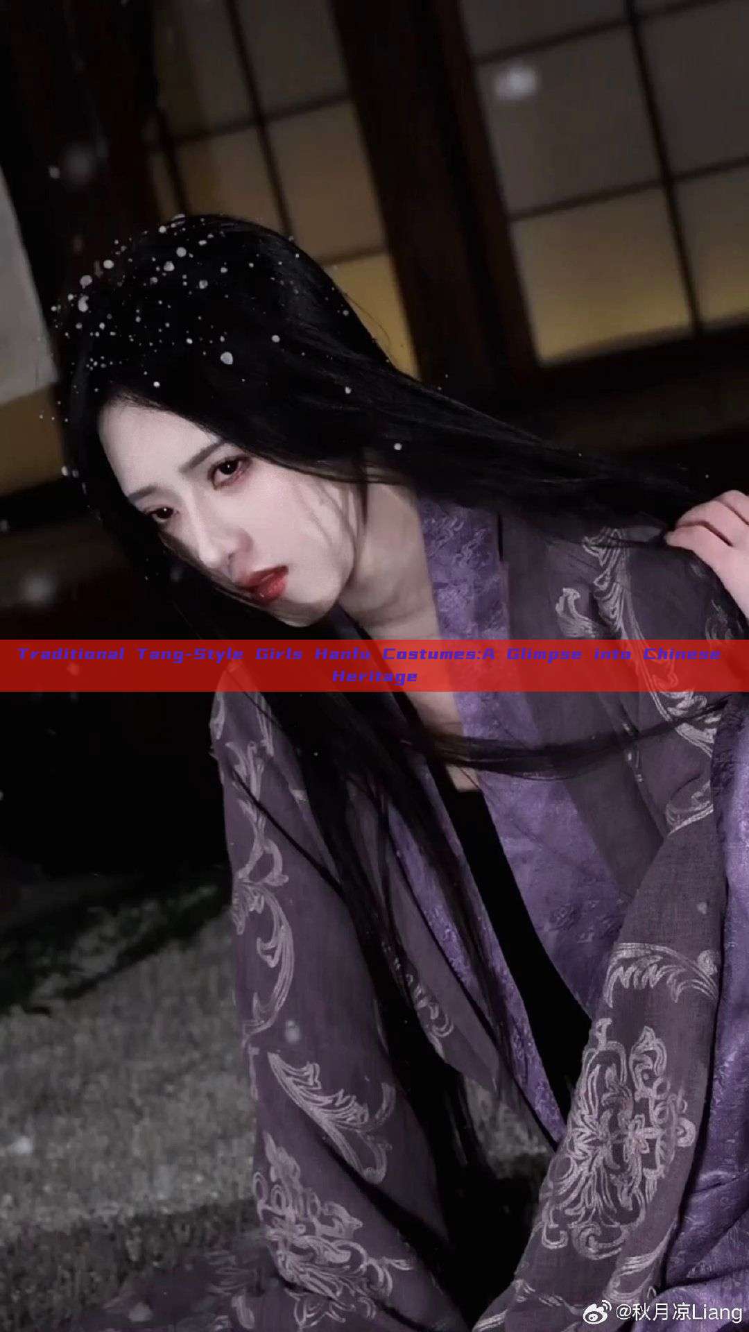 Traditional Tang-Style Girls Hanfu Costumes:A Glimpse into Chinese Heritage Traditional Tang-Style Girls Hanfu Costumes:A Glimpse into Chinese Heritage