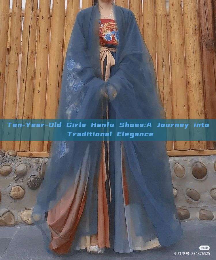 Ten-Year-Old Girls Hanfu Shoes:A Journey into Traditional Elegance Ten-Year-Old Girls Hanfu Shoes:A Journey into Traditional Elegance