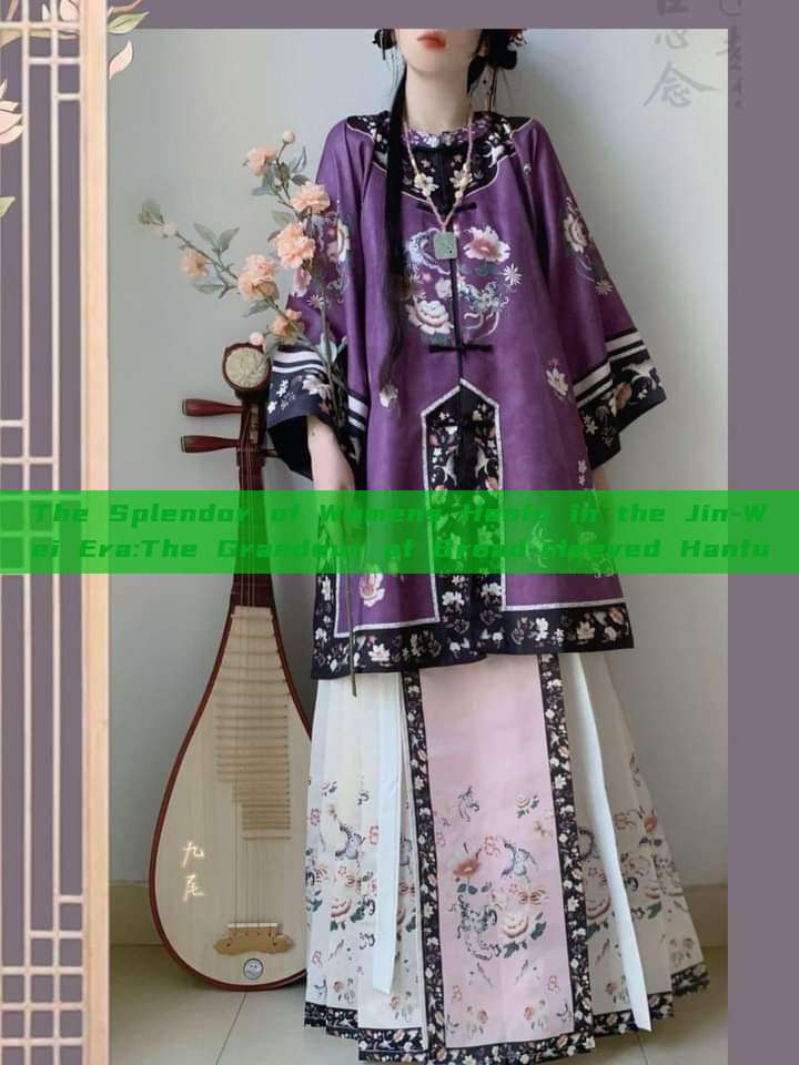 The Splendor of Womens Hanfu in the Jin-Wei Era:The Grandeur of Broad-sleeved Hanfu The Splendor of Womens Hanfu in the Jin-Wei Era:The Grandeur of Broad-sleeved Hanfu