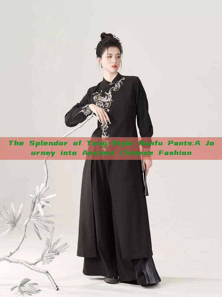 The Splendor of Tang-Style Hanfu Pants:A Journey into Ancient Chinese Fashion The Splendor of Tang-Style Hanfu Pants:A Journey into Ancient Chinese Fashion