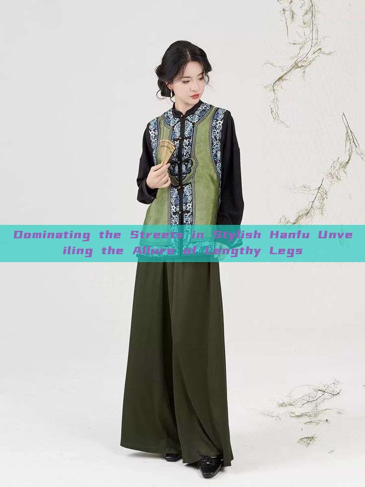 Dominating the Streets in Stylish Hanfu Unveiling the Allure of Lengthy Legs Dominating the Streets in Stylish Hanfu Unveiling the Allure of Lengthy Legs