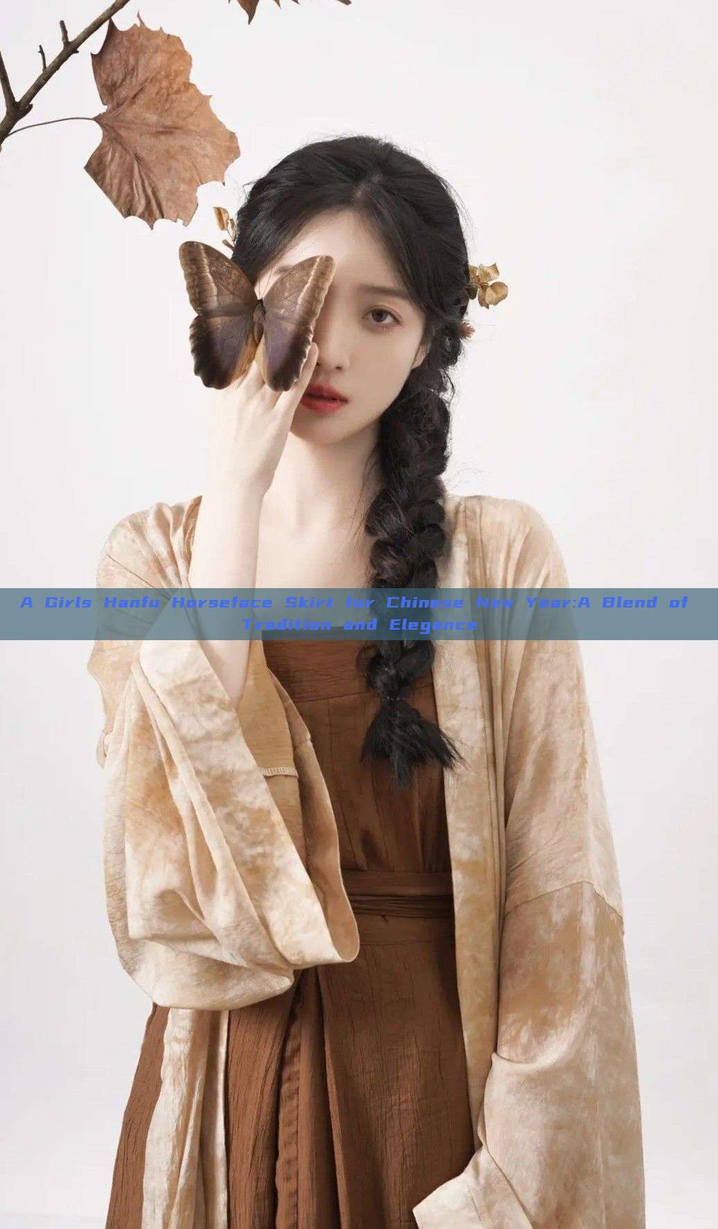 A Girls Hanfu Horseface Skirt for Chinese New Year:A Blend of Tradition and Elegance A Girls Hanfu Horseface Skirt for Chinese New Year:A Blend of Tradition and Elegance