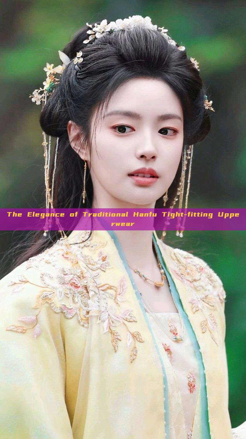 The Elegance of Traditional Hanfu Tight-fitting Upperwear The Elegance of Traditional Hanfu Tight-fitting Upperwear