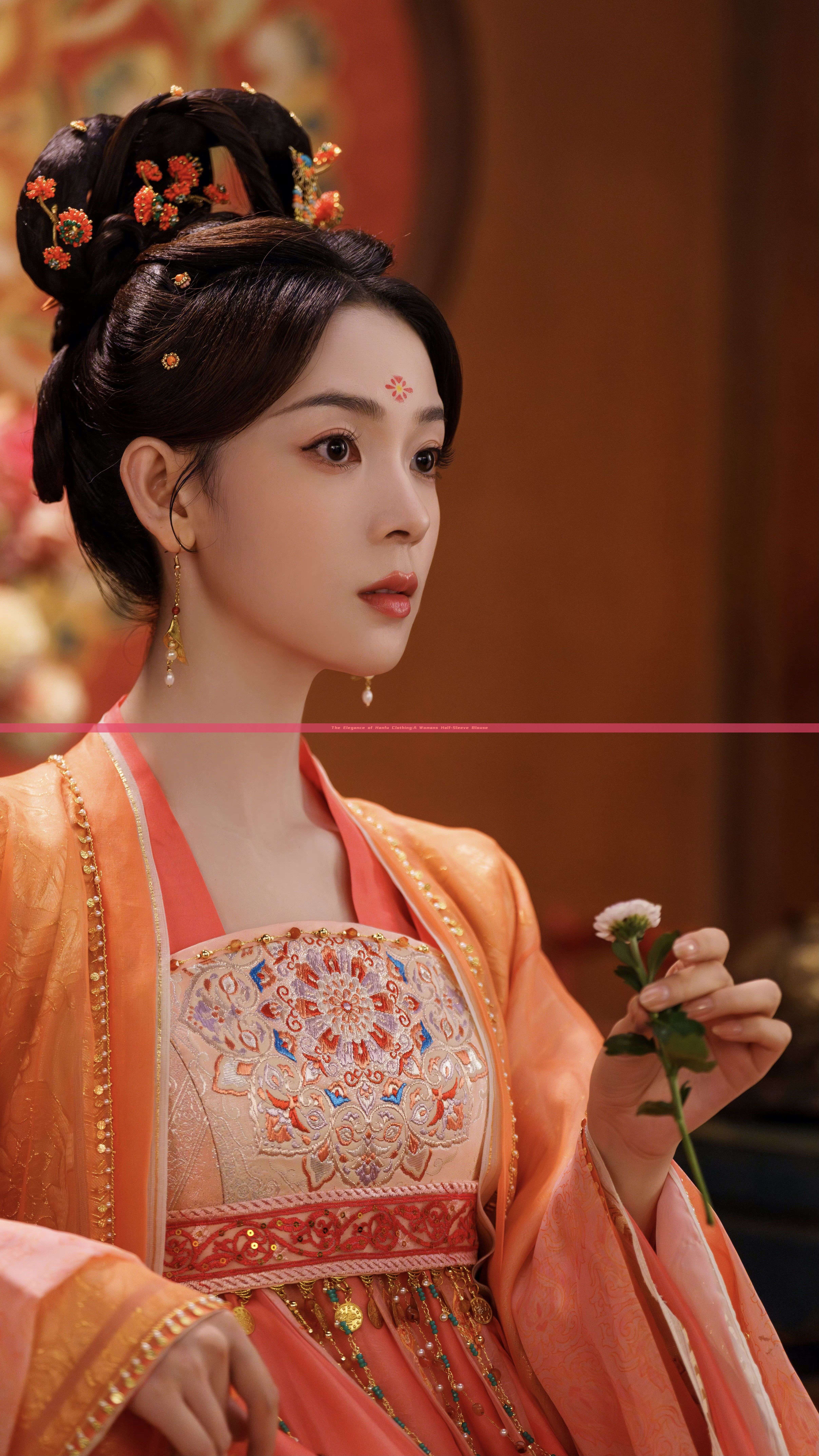 The Elegance of Hanfu Clothing:A Womans Half-Sleeve Blouse The Elegance of Hanfu Clothing:A Womans Half-Sleeve Blouse