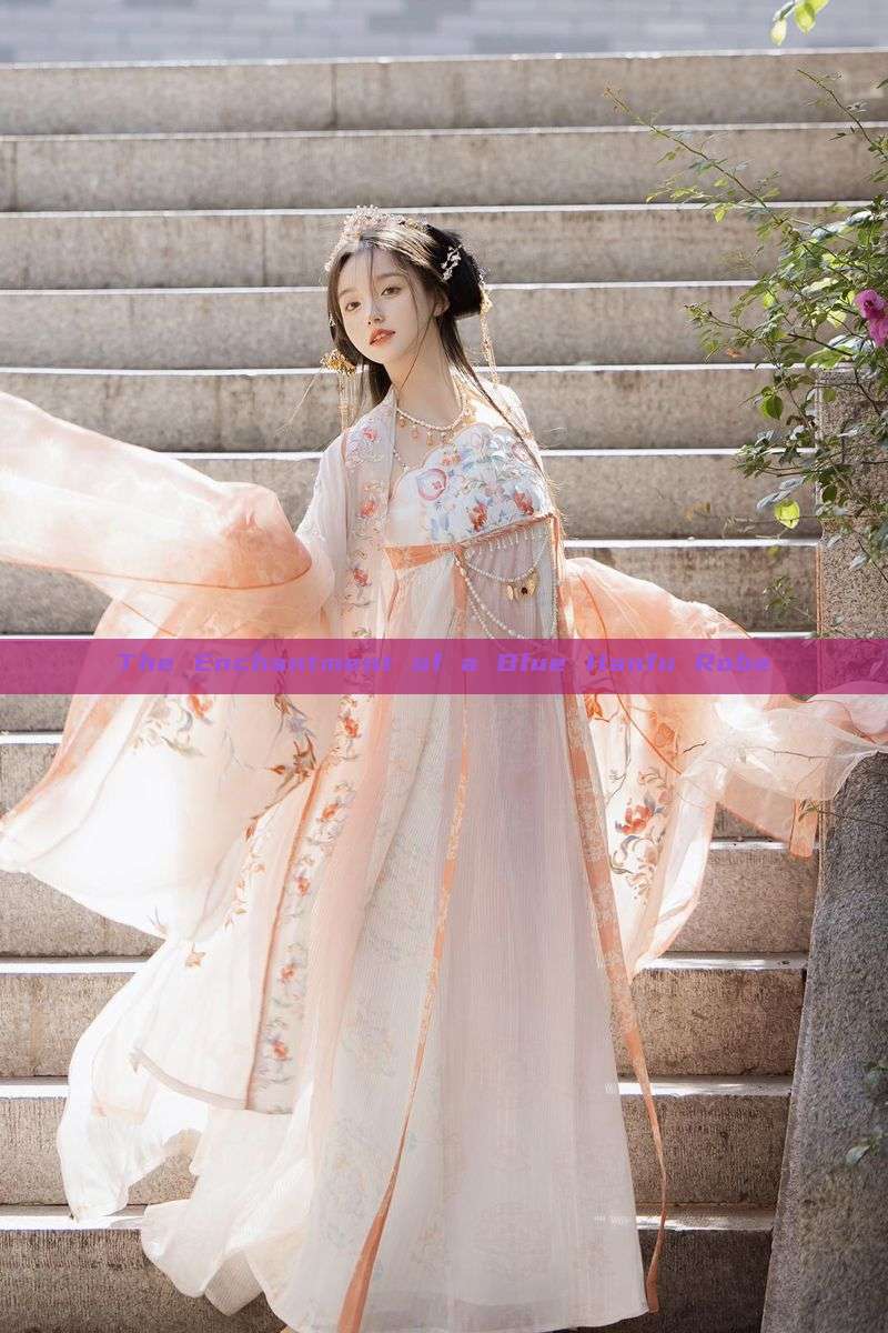 The Enchantment of a Blue Hanfu Robe The Enchantment of a Blue Hanfu Robe