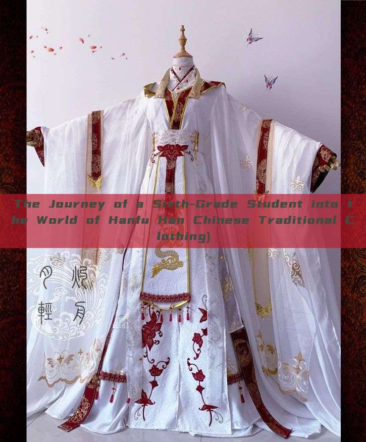 The Journey of a Sixth-Grade Student into the World of Hanfu Han Chinese Traditional Clothing) The Journey of a Sixth-Grade Student into the World of Hanfu Han Chinese Traditional Clothing)