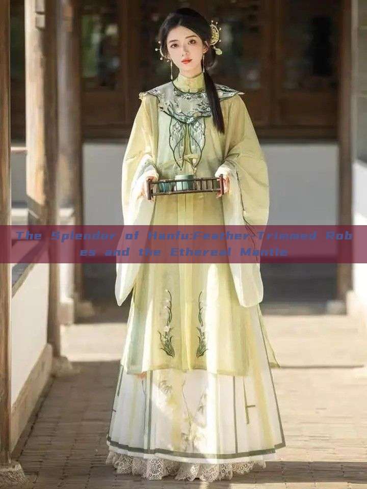 The Splendor of Hanfu:Feather-Trimmed Robes and the Ethereal Mantle The Splendor of Hanfu:Feather-Trimmed Robes and the Ethereal Mantle