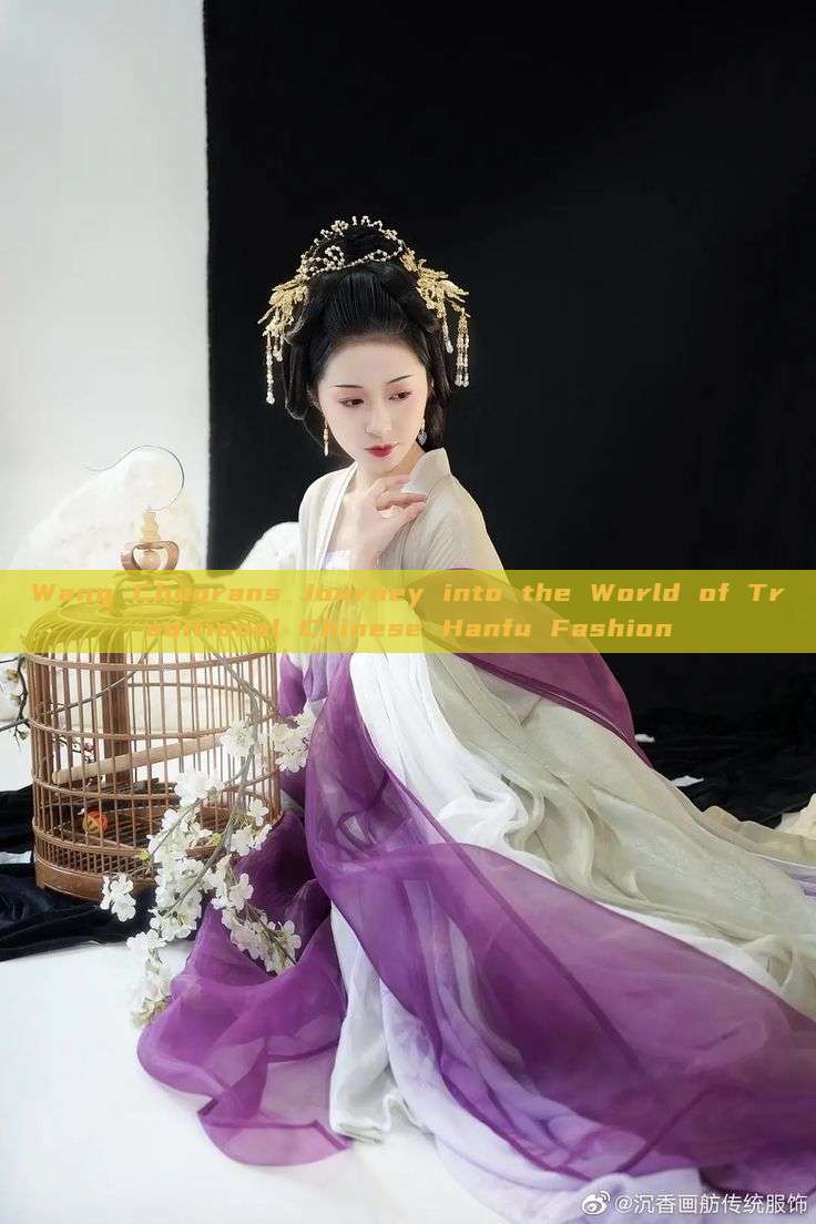 Wang Chuorans Journey into the World of Traditional Chinese Hanfu Fashion Wang Chuorans Journey into the World of Traditional Chinese Hanfu Fashion