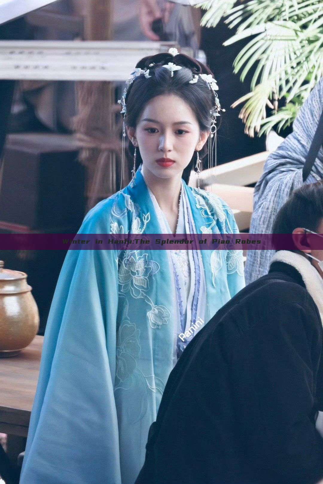Winter in Hanfu:The Splendor of Piao Robes Winter in Hanfu:The Splendor of Piao Robes