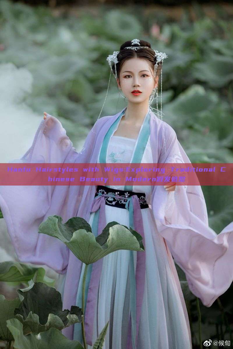 Hanfu Hairstyles with Wigs:Exploring Traditional Chinese Beauty in Modern假发造型 Hanfu Hairstyles with Wigs:Exploring Traditional Chinese Beauty in Modern假发造型