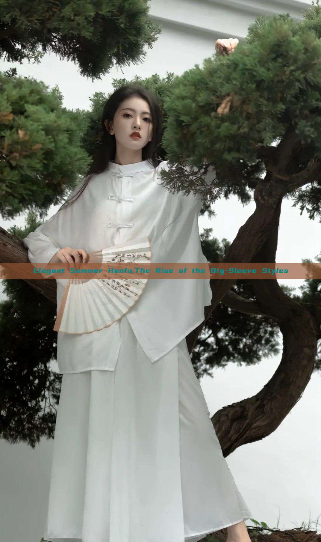 Elegant Summer Hanfu:The Rise of the Big-Sleeve Styles Elegant Summer Hanfu:The Rise of the Big-Sleeve Styles