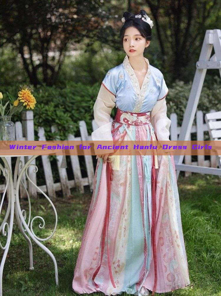 Winter Fashion for Ancient Hanfu Dress Girls Winter Fashion for Ancient Hanfu Dress Girls
