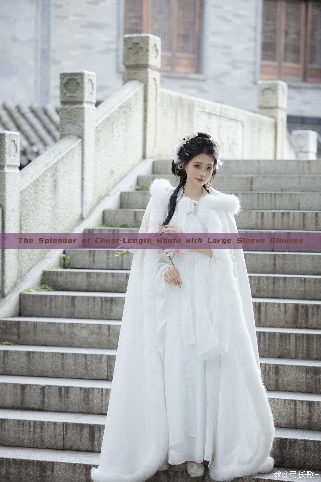 The Splendor of Chest-Length Hanfu with Large Sleeve Blouses The Splendor of Chest-Length Hanfu with Large Sleeve Blouses